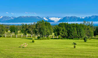 Homer Golf Course Alaska IMG 4291 Homer Golf Coursealaska org homer golf course