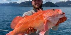 Homer Ocean Charters