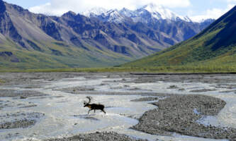 Denali Whale s Tail Backpacking joris beugels 6 Li U9qy F Of Q unsplash