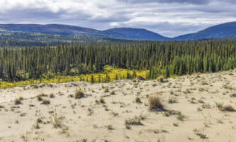 GOTA Basecamp Kobuk sand dunes