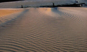 GOTA Basecamp kobuk sand dunes1