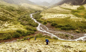 GOTA Oolah Traverse Gates of the arctic reindeer leichen 2