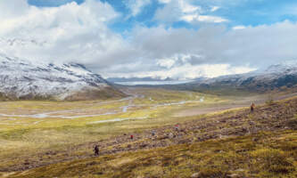 Wrangells Basecamp Skolai Pass