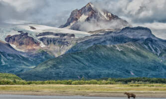 Wrangells Traverse Wrangells bear river