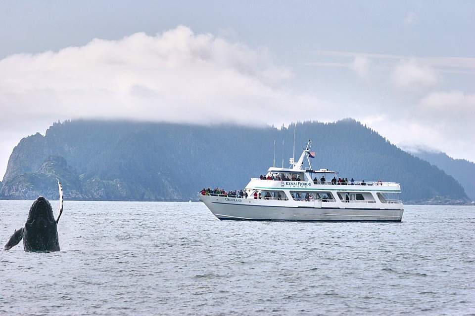 Smooth catamarans provide seating in the heated cabin with giant picture windows and large outdoor viewing decks