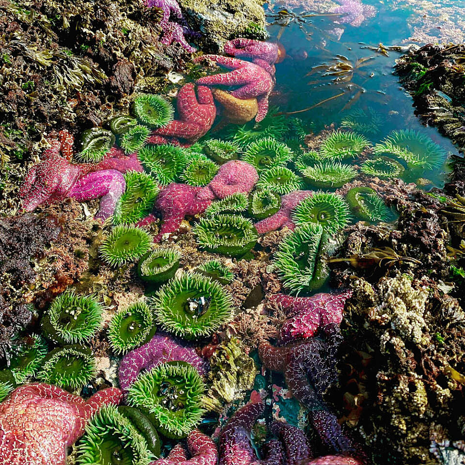 With intimate tours led by expert guides, every guest gets a personalized experience of Alaska’s raw natural beauty.