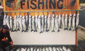Ketchikans finest fishing charters 60