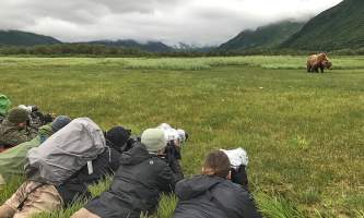 Website alaska kodiak photo workshop