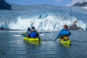 Liquid adventures aialik glacier wildlife viewing kayaking 2