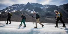 Exit Glacier Guides: Heli-Hiking & Flightseeing
