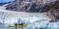 Liquid Adventures – Wildlife Cruise & Kayak