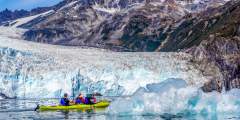 Liquid Adventures – Wildlife Cruise & Kayak