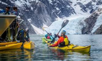 Alaska ANWE0009 aialik northwestern wildlife kayaking explorer