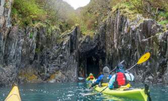 Alaska Aialik Wildlife Kayaking0001 Aialik Glacier Wildlife viewing and Kayaking