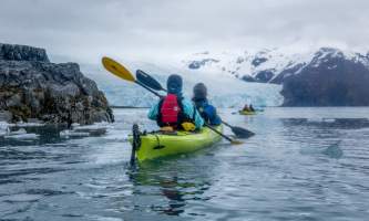 Alaska Aialik Wildlife Kayaking0005 Aialik Glacier Wildlife viewing and Kayaking