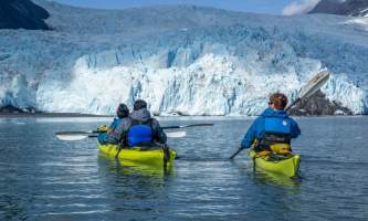 Alaska Aialik Wildlife Kayaking0023 Aialik Glacier Wildlife viewing and Kayaking