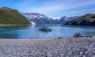 Alaska DSC06062 Aialik Glacier Wildlife viewing and Kayaking