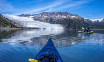 Alaska DSC06112 Aialik Glacier Wildlife viewing and Kayaking