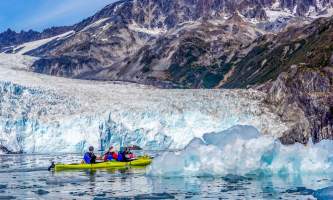 Alaska DSC06173 Aialik Glacier Wildlife viewing and Kayaking