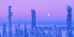 Day4 M De Young 1 WI0496 Michael De Young alaska aurora winter landscapes photo tour alaska org