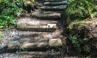 mindfulness-rainforest-treks-ketchikan-steps
