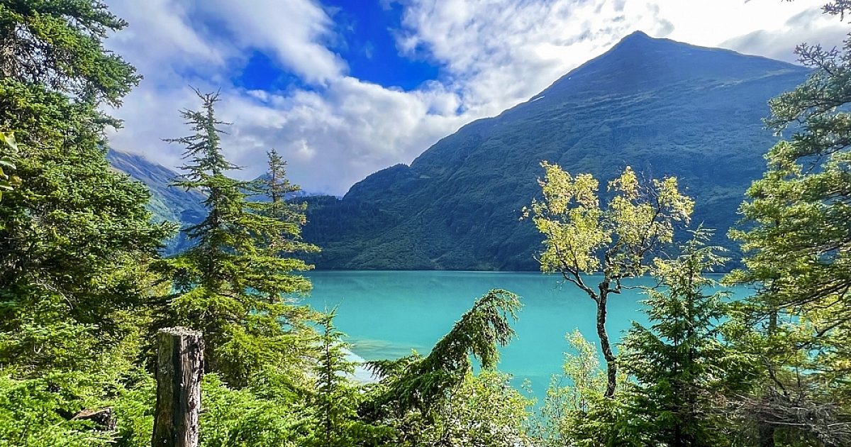Moose Pass Guided Hiking Tours