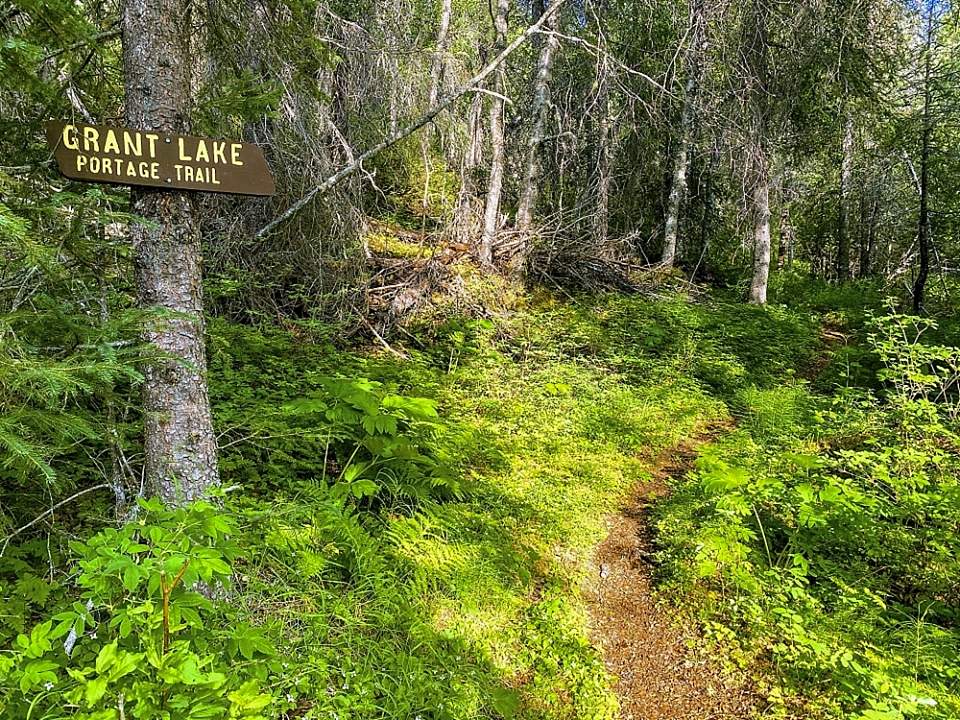 Explore Moose Pass by foot with Moose Pass Adventures