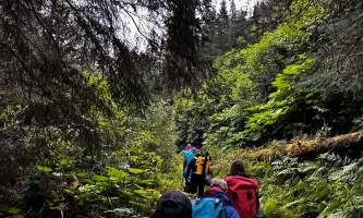 Moose pass adventures backcountry yurt 9
