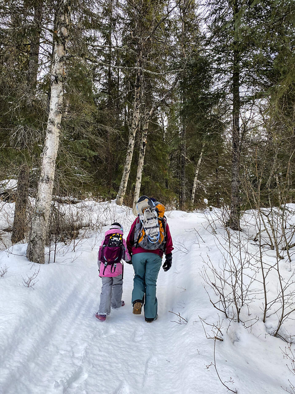 Explore Moose Pass on a guided hike or snowshoe tour