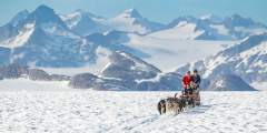 NorthStar Trekking Glacier Dog Sled Adventure