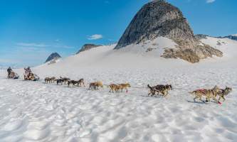 Northstar trekking glacier dog sled adventure 20190627 Northstar 1049 Edit
