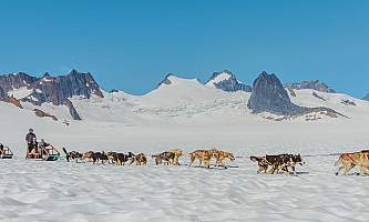 Northstar trekking glacier dog sled adventure 20190627 Northstar 1092 Edit