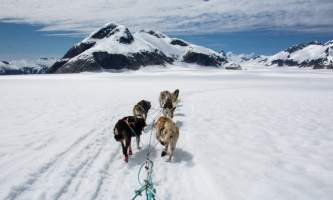 Northstar trekking glacier dog sled adventure CB3 9177