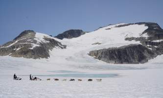 Northstar trekking glacier dog sled adventure DSC01046