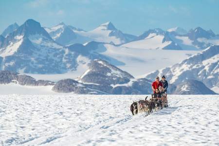 NorthStar Helicopters Glacier Dog Sled Adventure