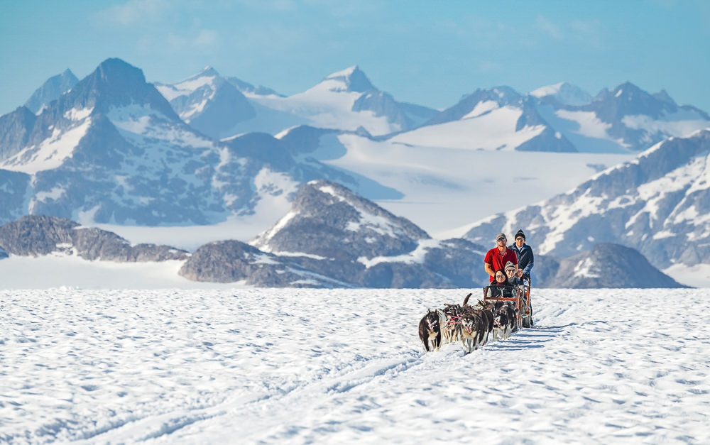 northstar-trekking-glacier-dog