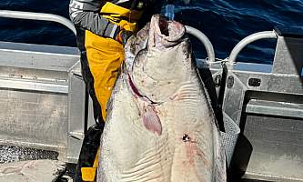 O fishial charters alaska org 3