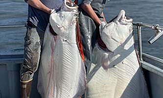 O fishial charters alaska org