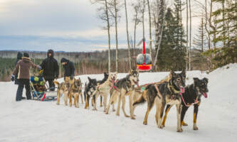 Outbound Heli Adventures Dog sledding Alaskadogmushingtoursbyhelicopter 1