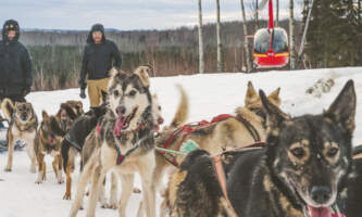 Outbound Heli Adventures Dog sleddingoutboundheliadventures 31 websize