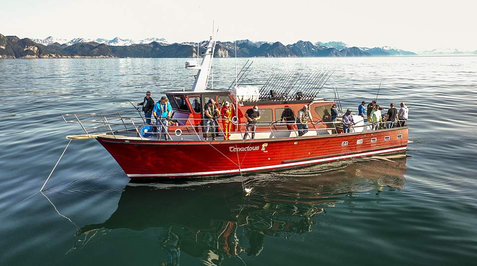 Puffin Charters org 6235d5ef2f8bff44 1690049322000 Tanya