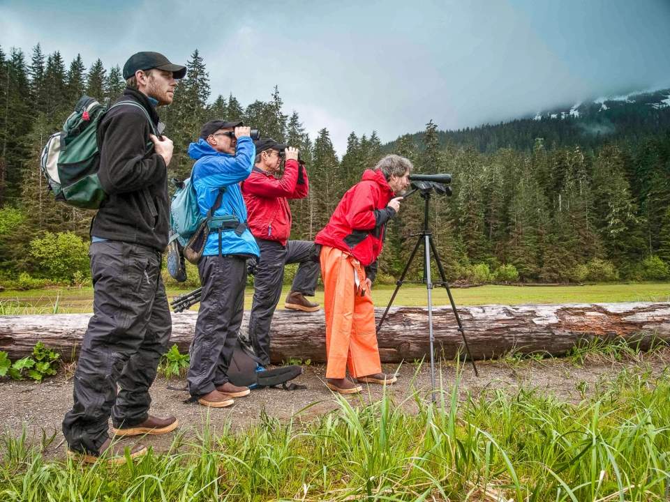 A group of people observe bears in their natural habitat.