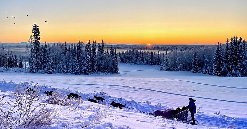 leslie-Paws-for-Adventure-pics