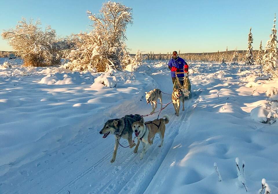 Leslie Paws for Adventure pics for Alaska Channel Nice Form Mushing school copy