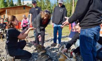 Alaska Summer Activities