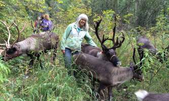 Jane with reindeers