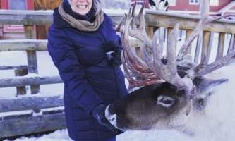 Reindeer Farm IMG 8115