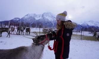 Reindeer Farm IMG 8118