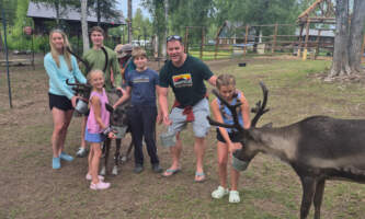 Talkeetna reindeer grove 21
