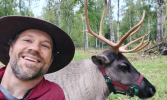 Talkeetna reindeer grove 4